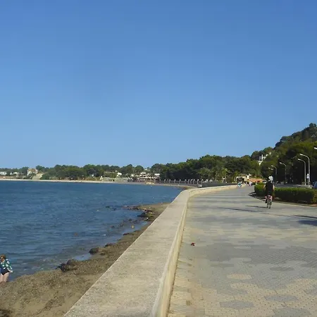 Anacasa Atlas Estrella De Mar Ap2215 Denia