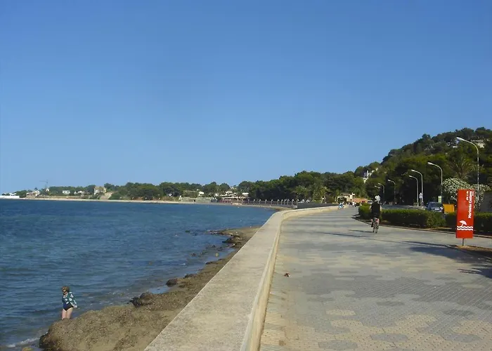 Anacasa Atlas Estrella De Mar Ap2215 Denia